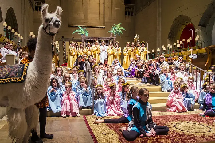 Christmas it up at a nativity pageant full of kids and live animals